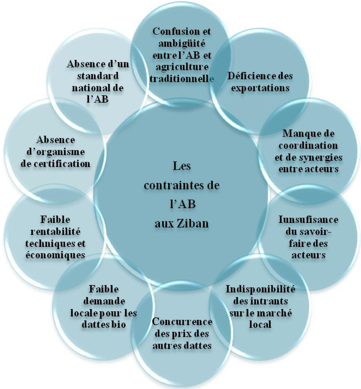 L Agriculture Biologique Un Outil De Developpement De La Filiere Dattes Dans La Region Des Ziban En Algerie Edp Open